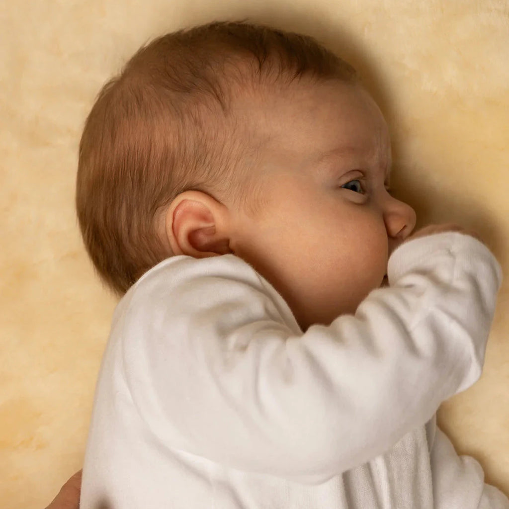 Sheepskin Rug The Little Baby Brand The Little Baby Brand