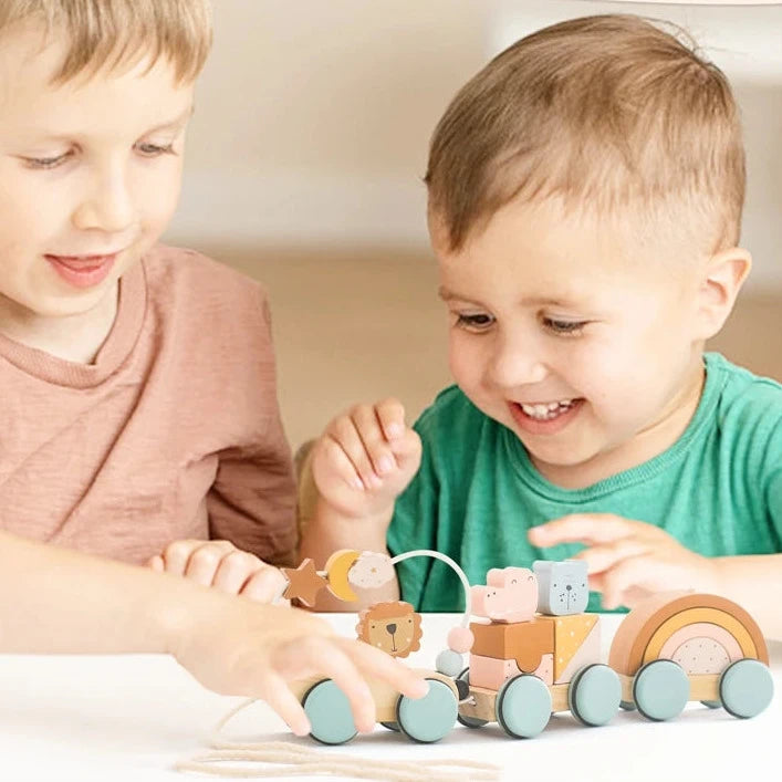 Baby Montessori Toys Wooden Train Baby Educational Toys Wooden Rainbow Blocks Trolley Baby Learning Toys Children Birthday Gifts The Little Baby Brand The Little Baby Brand