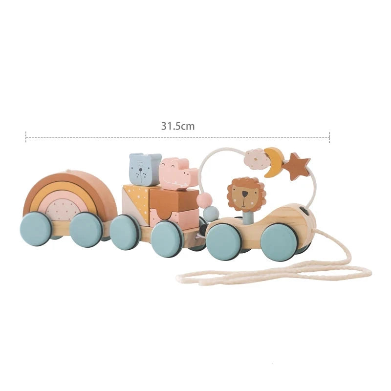 Baby Montessori Toys Wooden Train Baby Educational Toys Wooden Rainbow Blocks Trolley Baby Learning Toys Children Birthday Gifts The Little Baby Brand The Little Baby Brand