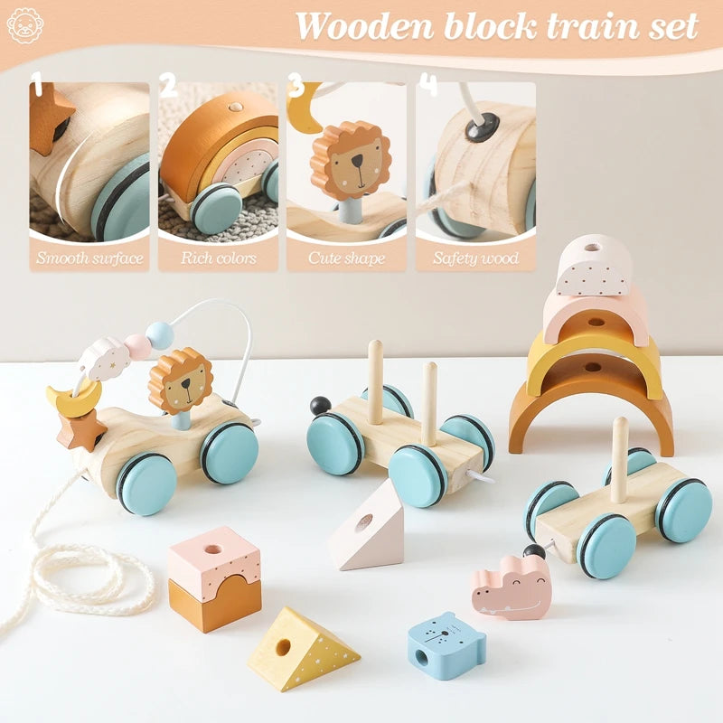 Baby Montessori Toys Wooden Train Baby Educational Toys Wooden Rainbow Blocks Trolley Baby Learning Toys Children Birthday Gifts The Little Baby Brand The Little Baby Brand