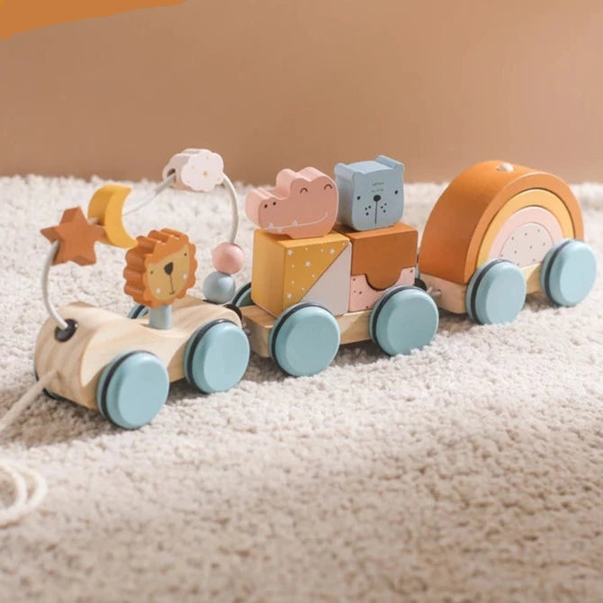 Baby Montessori Toys Wooden Train Baby Educational Toys Wooden Rainbow Blocks Trolley Baby Learning Toys Children Birthday Gifts The Little Baby Brand The Little Baby Brand